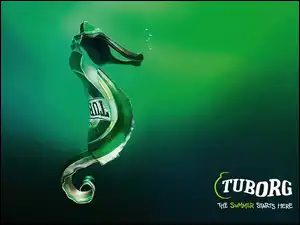 Tuborg, Logo, Kształt, Morskiego, Kapsel, Konika
