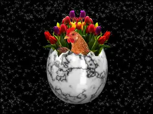 Kura w skorupce z tulipanami