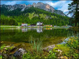 Góry, Domy, Kaczeńce, Jezioro, Belluno, Omszałe, Las, Drzewa, Dolomity, Lago di Misurina, Prowincja, Kamienie, Włochy, Kwiaty