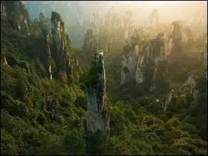 Zhangjiajie National Forest Park, Chiny, Skały, Las, Hunan