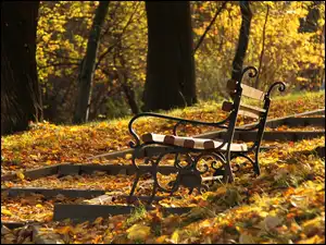 Liście, Park, Ławka, Jesień