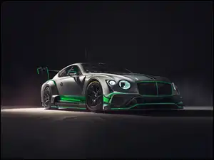Bentley na drodze
