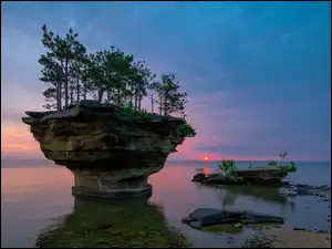 Drzewa, Słońca, Skały, Morze, Zachód