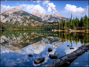Chmury Odbicie, Wyoming, Drzewa, Taggart Lake, Las, Stany Zjednoczone, Góry, Park Narodowy Grand Teton, Jezioro