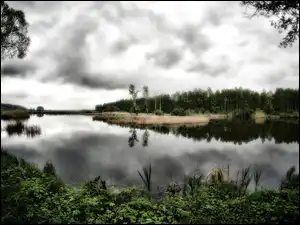 Drzewa, Jezioro, Zarośla