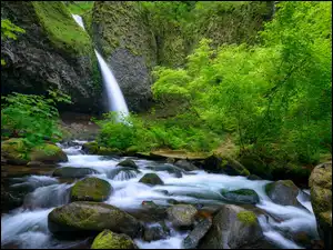 Stany Zjednoczone, Krzewy, Rośliny, Zielone, Upper Horsetail Falls, Wodospad, Skały, Rzeka, Kamienie, Oregon
