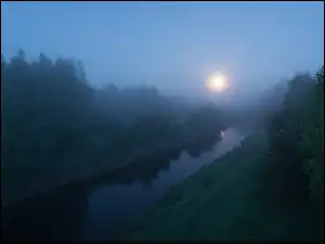 Drzewa, Wschód słońca, Rzeka, Mgła, Świt