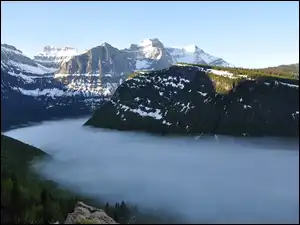 Śnieg, Drzewa, Stany Zjednoczone, Góry Skaliste, Montana, Park Narodowy Glacier, Mgła
