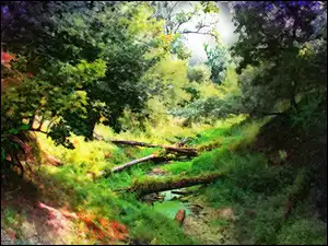 Wiatrołomy, Las, Dolina