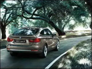 GT3, Drzewa, BMW, Samochód, Droga