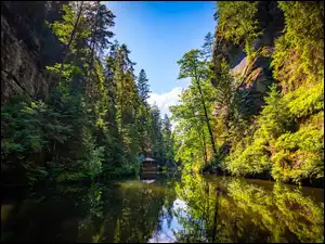 Dom nad rzeką i zadrzewiony wąwóz