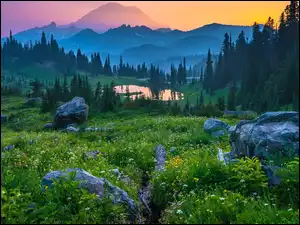 Kamienie, Góry, Łąka, Drzewa, Stan Waszyngton, Stany Zjednoczone, Jezioro, Park Narodowy Mount Rainier, Las, Kwiaty