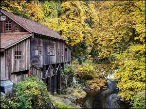 Stany Zjednoczone, Jesień, Woodland, Las, Cedar Creek Grist Mill, Młyn wodny, Lewis River, Rzeka, Drzewa, Stan Waszyngton