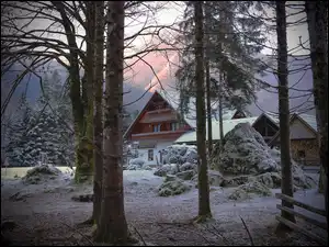 Drzewa, Zima, Domek gościnny Erlah, Krzewy, Słowenia, Gostišče Erlah, Śnieg, Bohinj