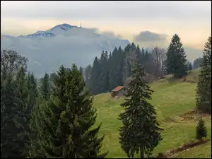 Niemiecka Bawaria