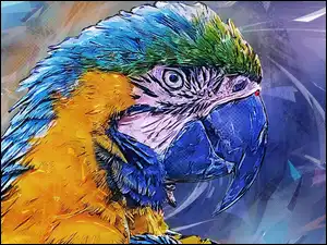 Profil ary w grafice
