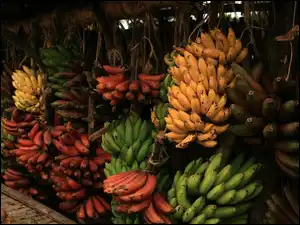 Bananów, Kiście