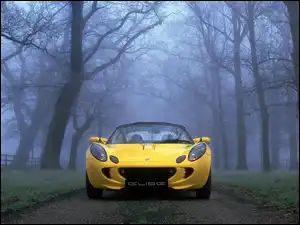 Przód, Żółty, Lotus Elise