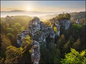 Skały, Góry Połabskie, Wschód słońca, Park Narodowy Saskiej Szwajcarii, Drzewa, Lasy, Niemcy