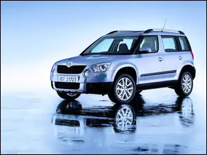 Yeti, Srebrna, Skoda