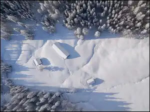 Zima, Śnieg, Las, Z lotu ptaka, Drzewa, Dachy, Domy