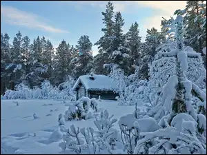 Dom, Las, Śnieg, Zima, Drzewa