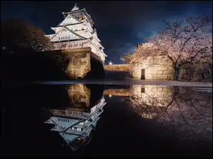 Odbicie w jeziorze oświetlonego nocą pałacu w Osace
