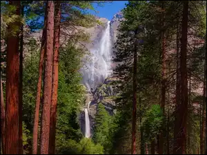 Drzewa, Stany Zjednoczone, Wodospad Upper Yosemite, Park Narodowy Yosemite, Kalifornia