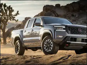 Nissan Frontier PRO