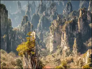 Zhangjiajie National Forest Park w Zhangjiajie