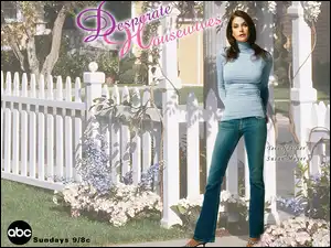 płot, Desperate Housewives, Teri Hatcher, biały