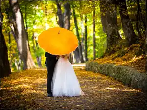 Jesień, Młoda, Para, Parasol