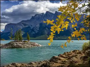 Skalista wysepka z drzewami na jeziorze w Parku Narodowym Banff w Kanadzie