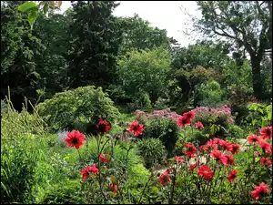 Park, Poczdam