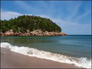 Plaża, Morze, Skały, Drzewa