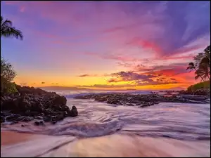 Morze, Palmy, Wyspa Maui, Hawaje, Zachód słońca