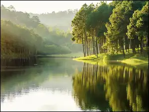 Drzewa, Jezioro, Wzniesienia