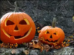 Liście, Halloween, Dynie, Gałązki