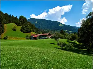 Dom, Niebo, Las, Łąki, Chmury, Drzewa, Trawa, Góry