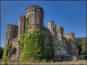 Winorośl, Chateau De La Foret, Belgia, Zamek