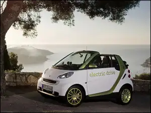 Smart, Samochód, Drzewo, Skały, Fortwo, Morze