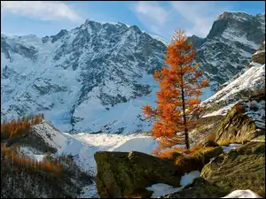 Śnieg, Góry, Skały, Jesień, Kamienie, Drzewa