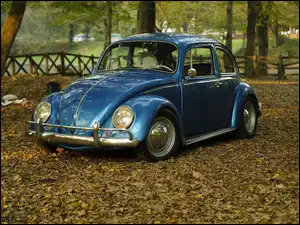 Park, Volkswagen Beetle, Garbus