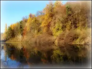 Kolorowe, Odbicie, Jesień, Jezioro, Drzewa