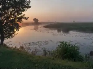 Wschód słońca, Rzeka, Pole, Drzewa