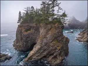 Samuel H Boardman State Scenic Corridor, Oregon, Park stanowy, Wysepka, Mgła, Morze, Skały, Stany Zjednoczone, Drzewa