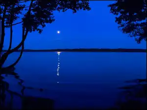 Księżyc, Drzewa, Noc, Jezioro, Odbicie