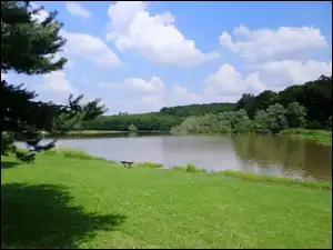 Ławka, Jezioro, Zieleń