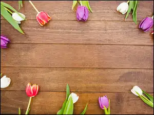 Tulipany na ciemnych deskach