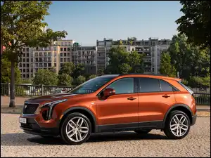 Bok, Cadillac XT4 350D